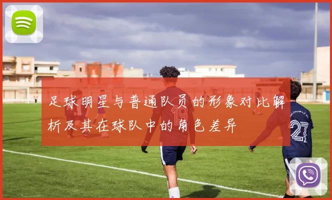足球明星与普通队员的形象对比解析及其在球队中的角色差异