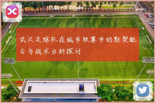 武汉足球队在城市联赛中的默契配合与战术分析探讨