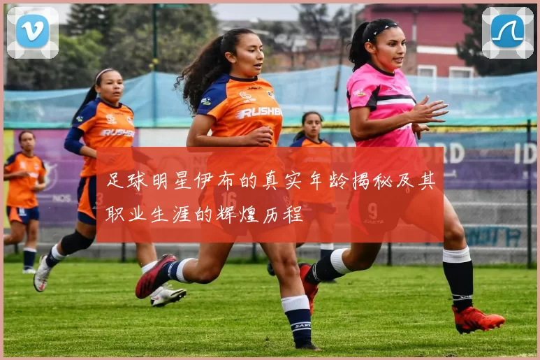 足球明星伊布的真实年龄揭秘及其职业生涯的辉煌历程