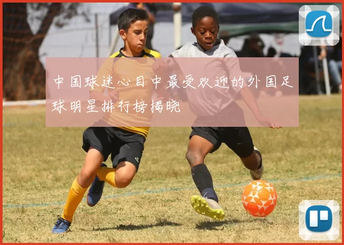 中国球迷心目中最受欢迎的外国足球明星排行榜揭晓