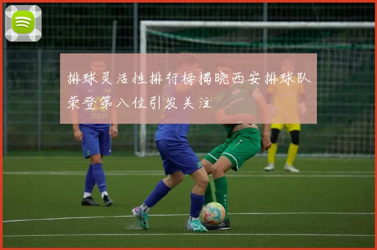 排球灵活性排行榜揭晓西安排球队荣登第八位引发关注