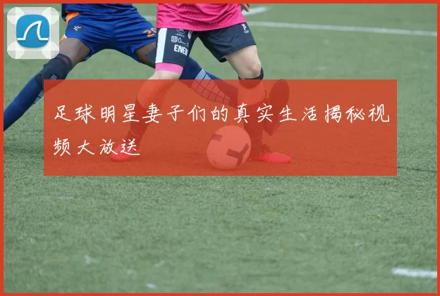 足球明星妻子们的真实生活揭秘视频大放送
