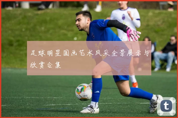 足球明星国画艺术风采全景展示与欣赏合集