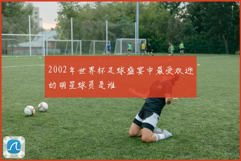 2002年世界杯足球盛宴中最受欢迎的明星球员是谁