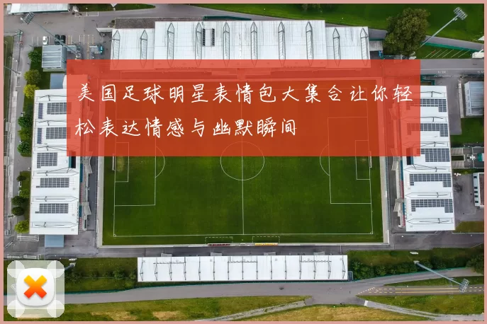 美国足球明星表情包大集合让你轻松表达情感与幽默瞬间