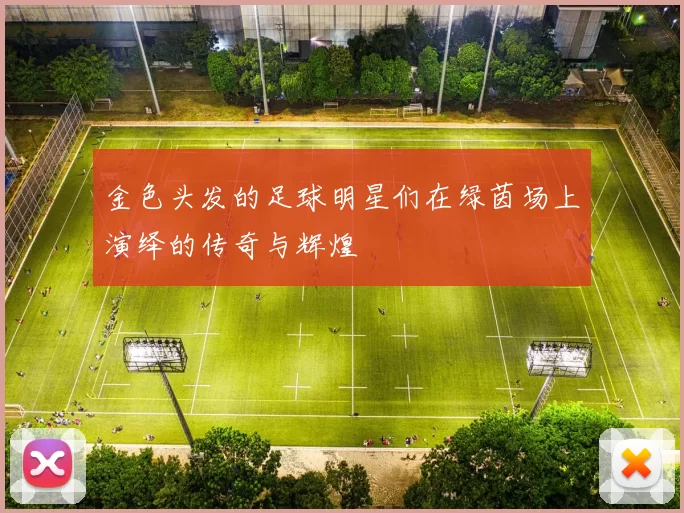 金色头发的足球明星们在绿茵场上演绎的传奇与辉煌