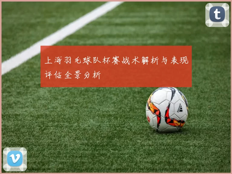 上海羽毛球队杯赛战术解析与表现评估全景分析